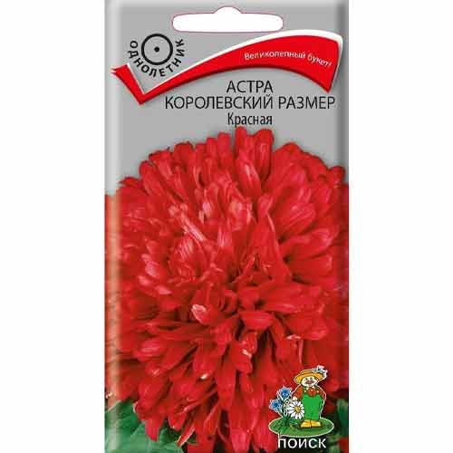 Астра Королевский размер красная Поиск изображение 1 артикул 82045