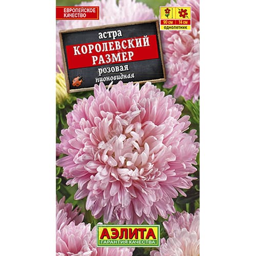 Астра Королевский размер розовая Аэлита изображение 1 артикул 98861
