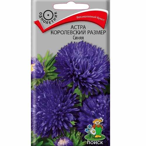 Астра Королевский размер синяя Поиск изображение 1 артикул 82047