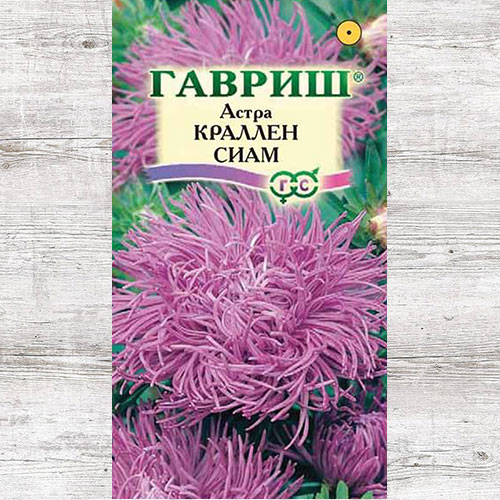 Астра Краллен Сиам Гавриш изображение 1 артикул 82306