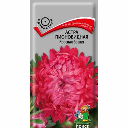 Астра Красная башня Поиск изображение 1 артикул 82063