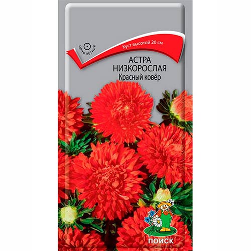 Астра Красный ковер Поиск изображение 1 артикул 82054