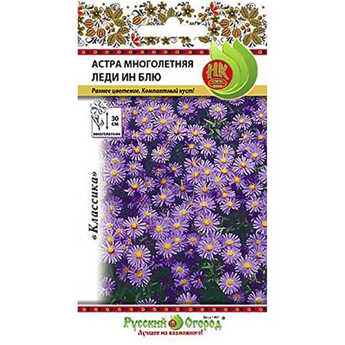 Астра Леди Ин Блу, семена артикул фото 1 Астра Леди Ин Блу, семена изображение 1 артикул 92428
