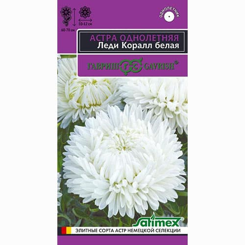 Астра Леди Корал белая Гавриш изображение 1 артикул 82308