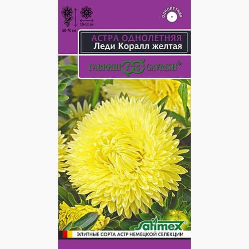 Астра Леди Корал желтая Гавриш изображение 1 артикул 97587