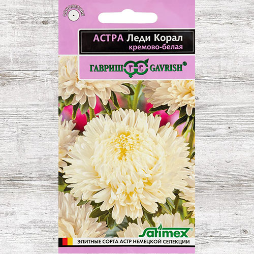 Астра Леди Корал кремово-белая Гавриш изображение 1 артикул 82310