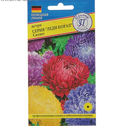 Астра Леди Корал Салют, смесь окрасок Престиж изображение 1 артикул 81290