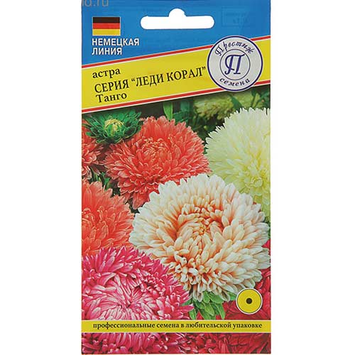 Астра Леди Корал Танго, смесь окрасок Престиж артикул фото 1 Астра Леди Корал Танго, смесь окрасок Престиж изображение 1 артикул 81292