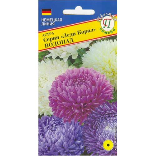 Астра Леди Корал Водопад, смесь окрасок Престиж изображение 1 артикул 81286