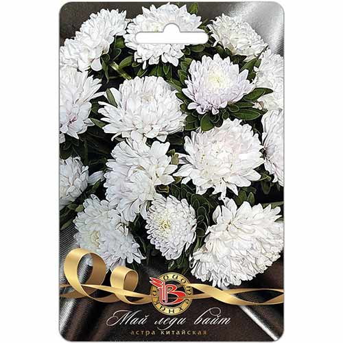 Астра Май Леди Вайт Биотехника изображение 1 артикул 84600