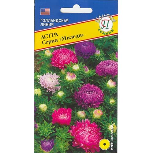 Астра Миледи, смесь окрасок Престиж изображение 1 артикул 71973