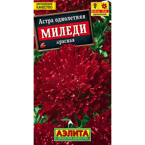 Астра Миледи красная Аэлита изображение 1 артикул 98851