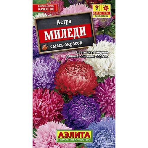 Астра Миледи Аэлита артикул фото 1 Астра Миледи Аэлита изображение 1 артикул 98834
