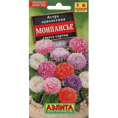 Астра Монпансье, смесь окрасок Аэлита артикул фото 1 Астра Монпансье, смесь окрасок Аэлита изображение 1 артикул 98855
