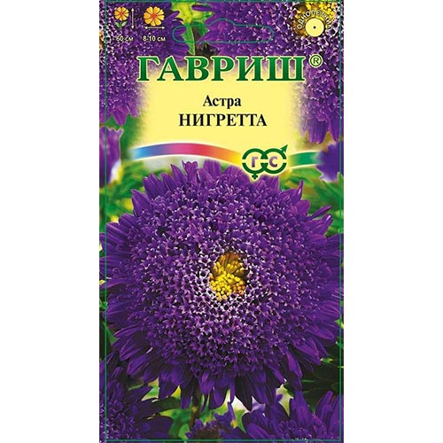 Астра Нигретта, семена артикул фото 1 Астра Нигретта, семена изображение 1 артикул 91936