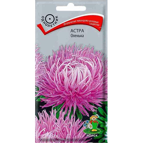 Астра Оленька, семена изображение 1 артикул 92883
