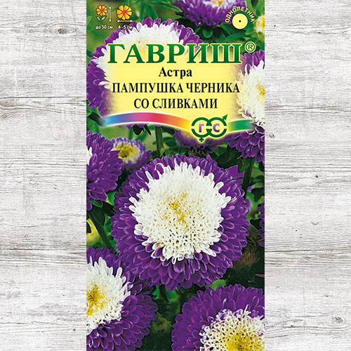 Астра Пампушка Черника со сливками изображение 1 артикул 73795