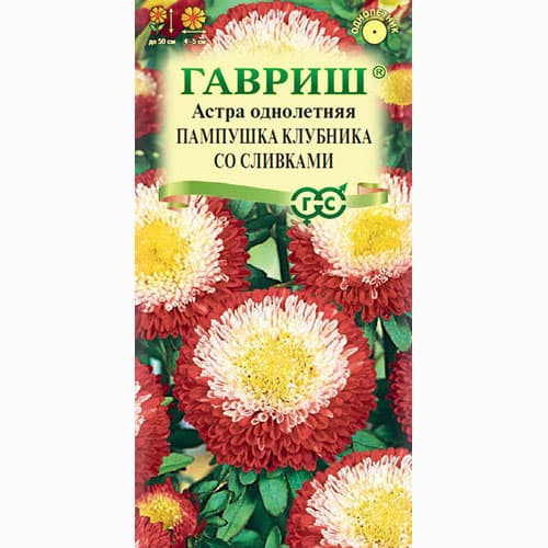 Астра Пампушка Клубника со сливками Гавриш изображение 1 артикул 73791