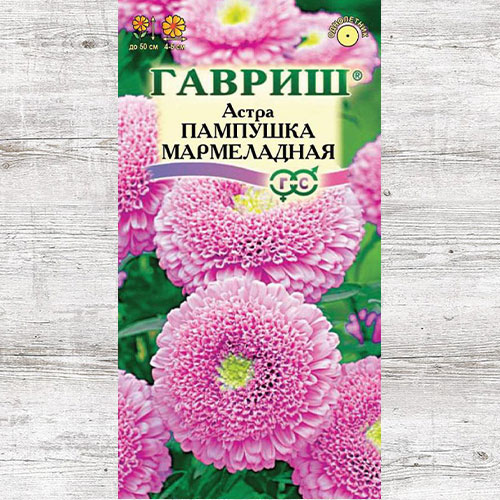 Астра Пампушка Мармеладная Гавриш изображение 1 артикул 73793