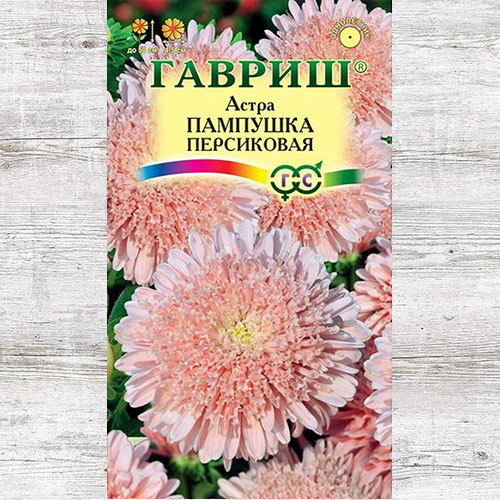 Астра Пампушка Персиковая Гавриш изображение 1 артикул 73794