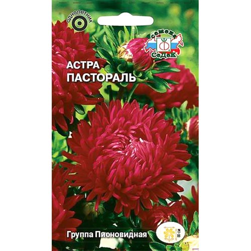 Астра Пастораль, семена артикул фото 1 Астра Пастораль, семена изображение 1 артикул 93647