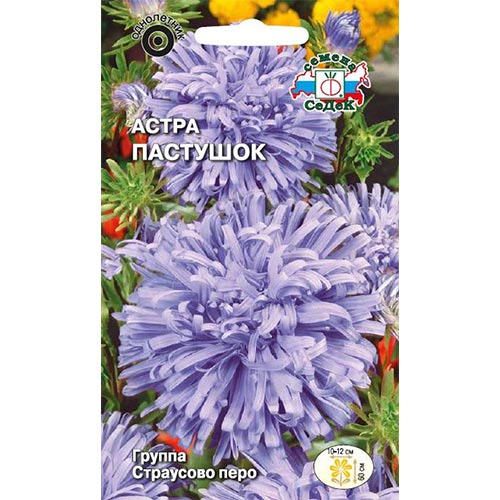 Астра Пастушок, семена изображение 1 артикул 93648