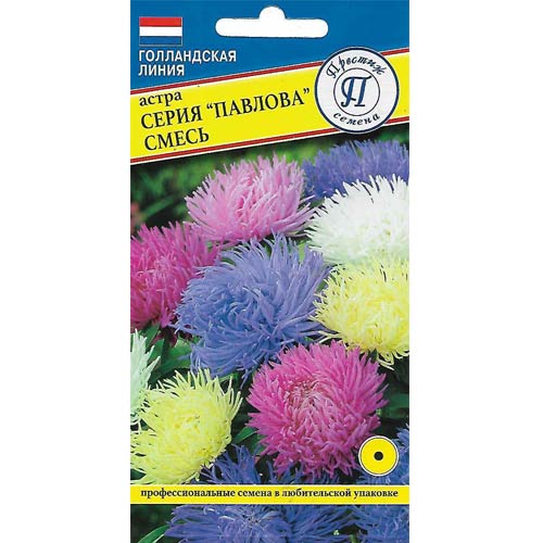 Астра Павлова, смесь окрасок Престиж изображение 1 артикул 85439