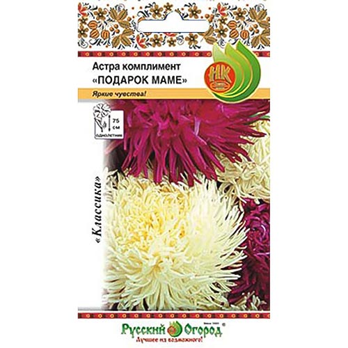 Астра Подарок маме, смесь окрасок артикул фото 1 Астра Подарок маме, смесь окрасок изображение 1 артикул 92432