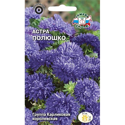 Астра Полюшко, семена артикул фото 1 Астра Полюшко, семена изображение 1 артикул 93649