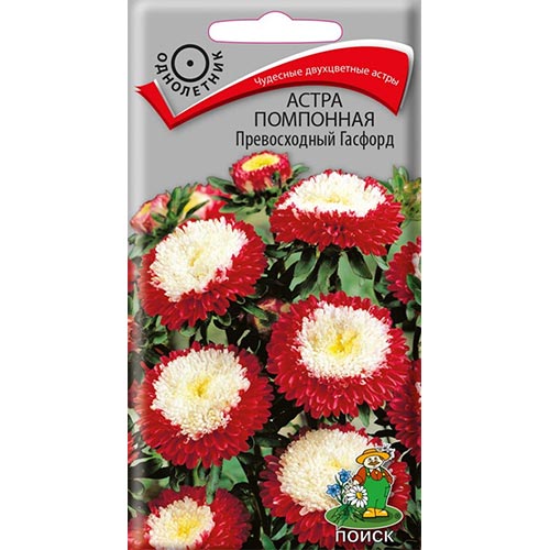 Астра Превосходный Гасфорд, семена артикул фото 1 Астра Превосходный Гасфорд, семена изображение 1 артикул 92884