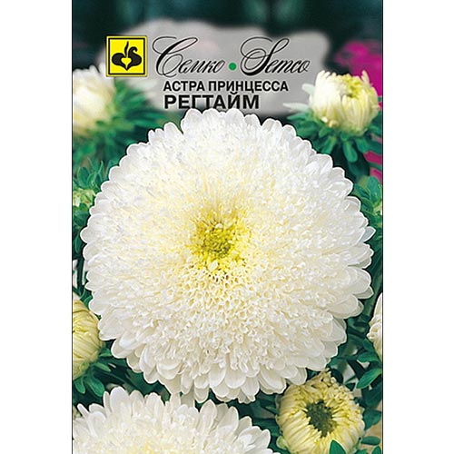 Астра Принцесса Регтайм, семена артикул фото 1 Астра Принцесса Регтайм, семена изображение 1 артикул 94286