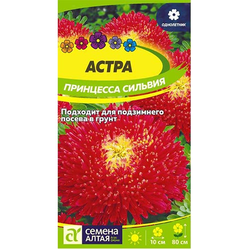 Астра Принцесса Сильвия, семена артикул фото 1 Астра Принцесса Сильвия, семена изображение 1 артикул 94124