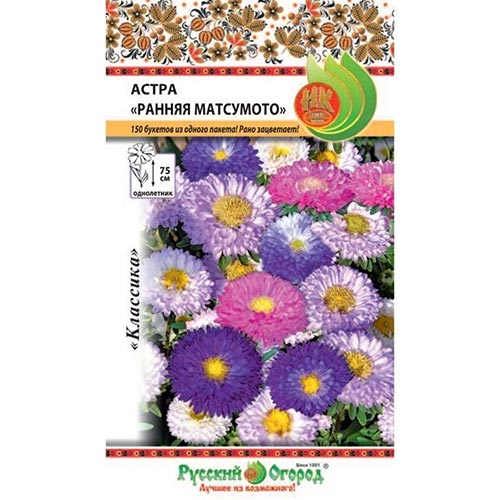 Астра Ранняя Матсумото, смесь окрасок артикул фото 1 Астра Ранняя Матсумото, смесь окрасок изображение 1 артикул 92433