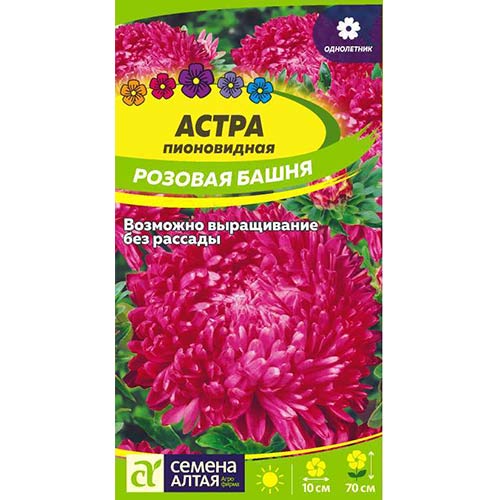 Астра Розовая башня Семена Алтая артикул фото 1 Астра Розовая башня Семена Алтая изображение 1 артикул 84797