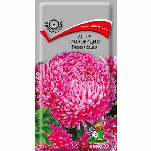 Астра Розовая башня Поиск артикул фото 1 Астра Розовая башня Поиск изображение 1 артикул 97864