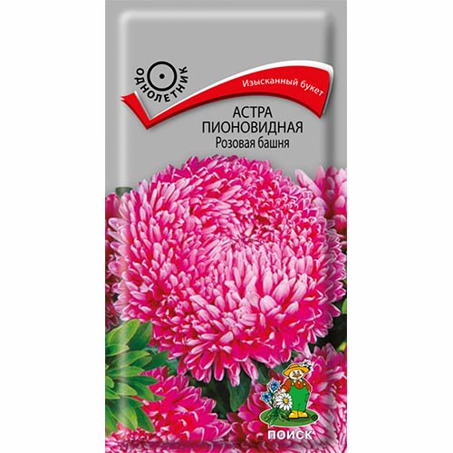 Астра Розовая башня артикул фото 1 Астра Розовая башня изображение 1 артикул 82064