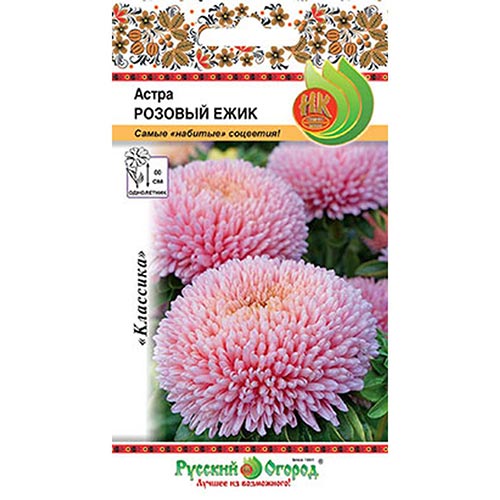 Астра Розовый ежик, семена изображение 1 артикул 92437