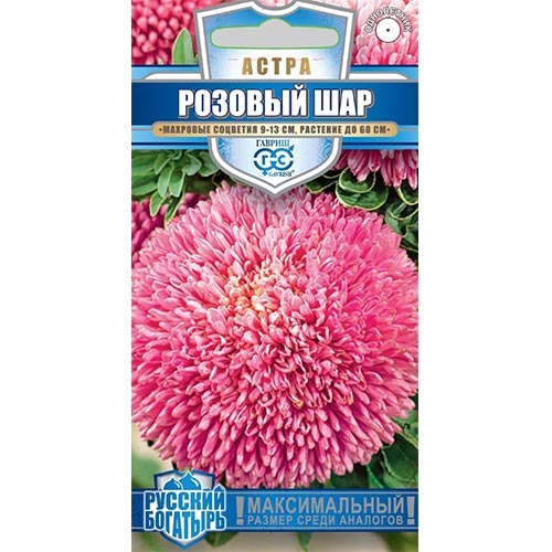 Астра Розовый шар, семена артикул фото 1 Астра Розовый шар, семена изображение 1 артикул 91941