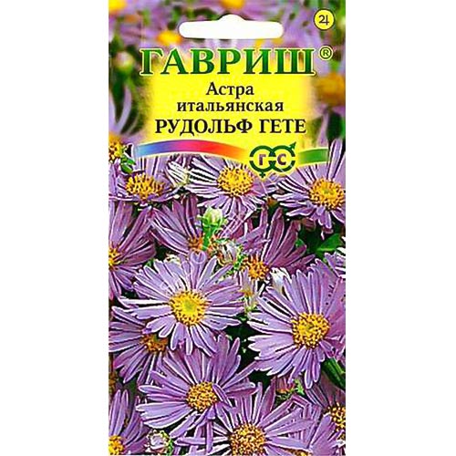 Астра Рудольф Гете, семена изображение 1 артикул 91942