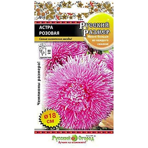 Астра Русский Размер II Розовая, семена артикул фото 1 Астра Русский Размер II Розовая, семена изображение 1 артикул 92442