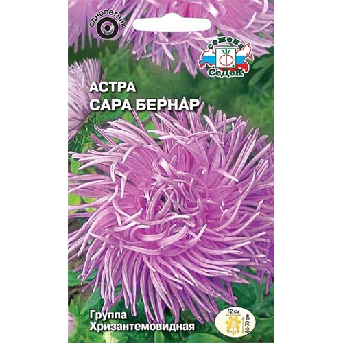 Астра Сара Бернар, семена артикул фото 1 Астра Сара Бернар, семена изображение 1 артикул 93651