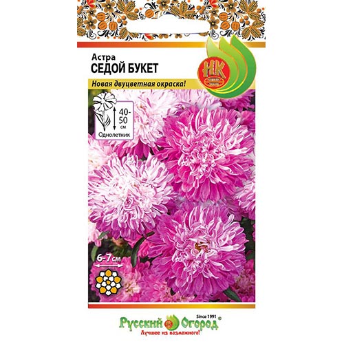 Астра Седой букет, семена артикул фото 1 Астра Седой букет, семена изображение 1 артикул 92443