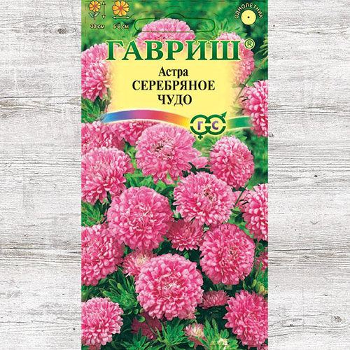 Астра Серебряное чудо Гавриш изображение 1 артикул 73798