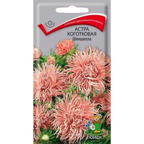 Астра Шиншилла, семена артикул фото 1 Астра Шиншилла, семена изображение 1 артикул 92888