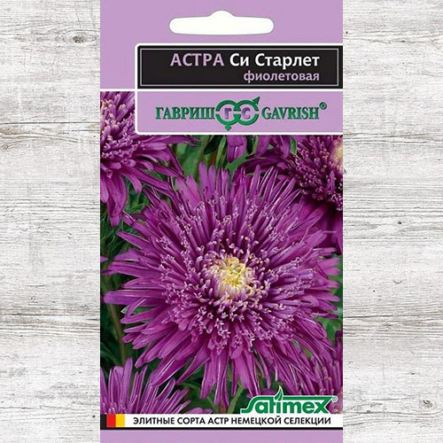 Астра Си Старлет фиолетовая Гавриш изображение 1 артикул 73800