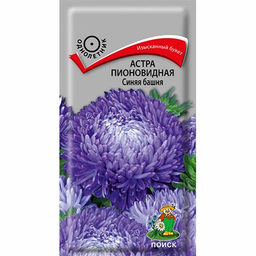 Астра Синяя башня артикул фото 1 Астра Синяя башня изображение 1 артикул 82066