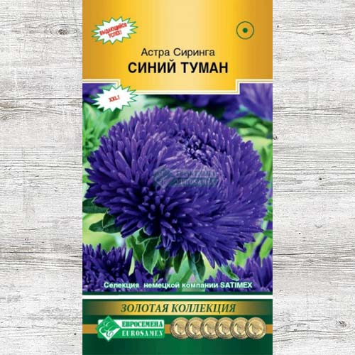 Астра Сиринга Синий туман артикул фото 1 Астра Сиринга Синий туман изображение 1 артикул 83444