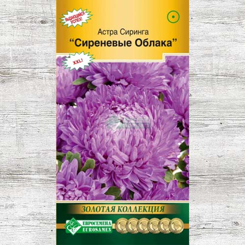 Астра Сиринга Сиреневые облака изображение 1 артикул 83445