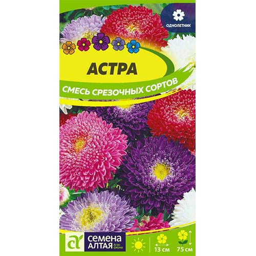 Астра Смесь срезочных сортов, смесь окрасок Семена Алтая артикул фото 1 Астра Смесь срезочных сортов, смесь окрасок Семена Алтая изображение 1 артикул 84740