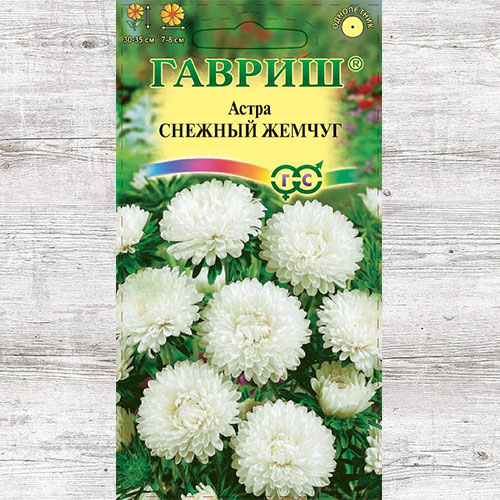 Астра Снежный жемчуг Гавриш изображение 1 артикул 73801